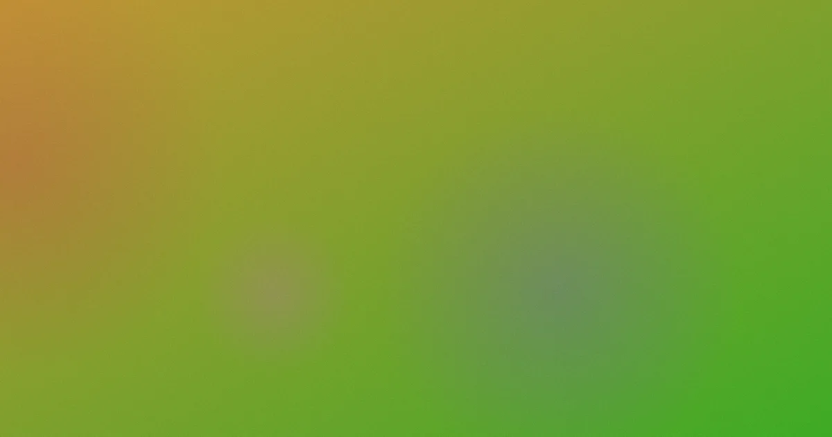 嘉米推荐：新手这样选场景